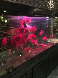 -宜和42度热瑜伽