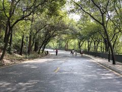 -南国桃园旅游度假区