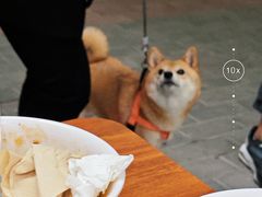 -马光荣肉丸糊辣汤(边东街店)