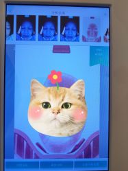 -DEM缔怡美科技美容