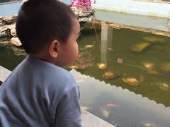 -八姑农庄·广府西江菜·云南野生菌