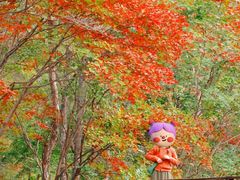 -关门山森林公园