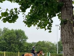 -北京群众马术培训基地