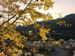 -重庆南山海昌汤都