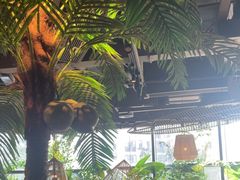 -大头椰·椰子鸡火锅(南宁万象城店)