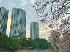-红星桥(地铁站)