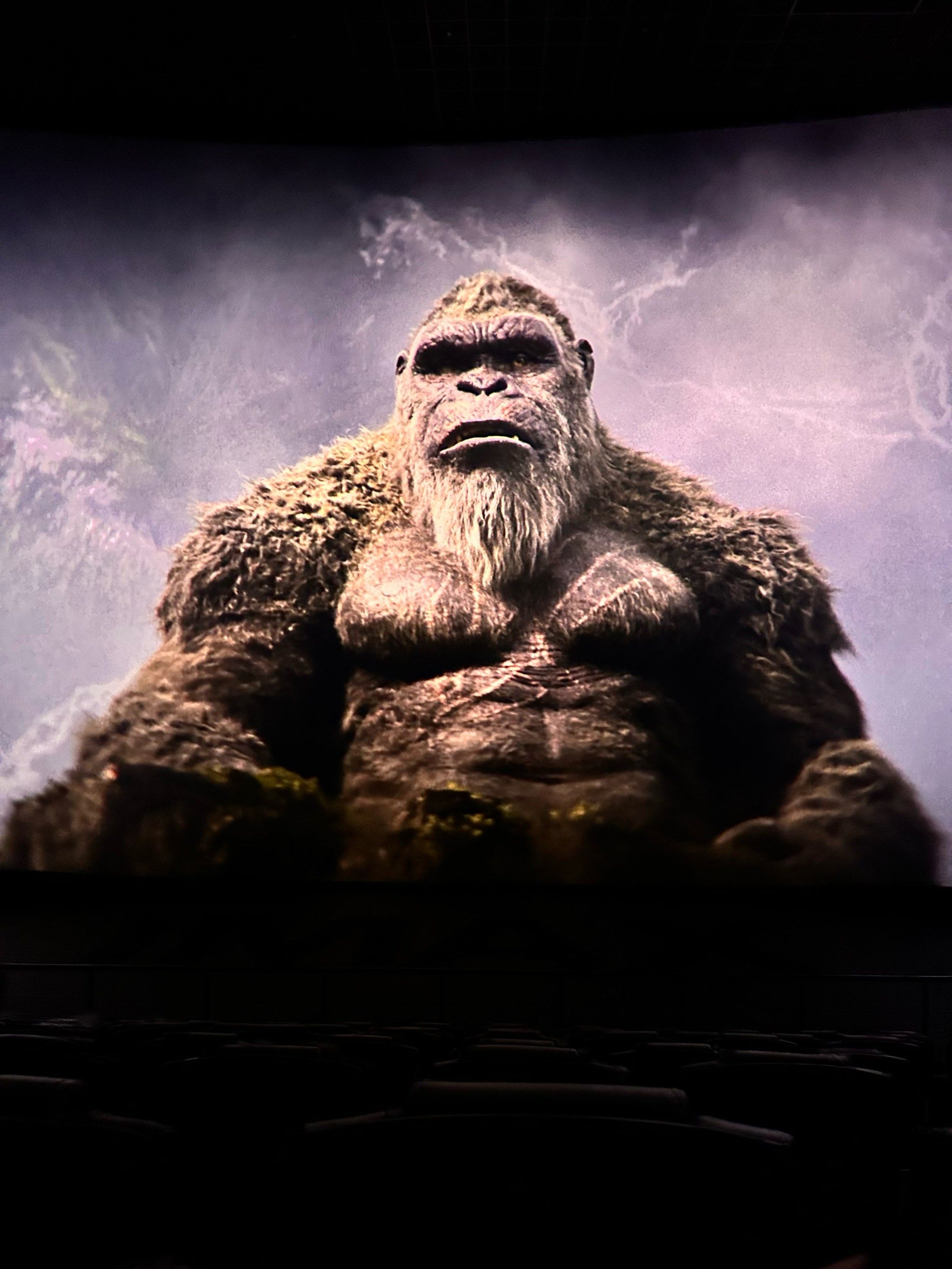 哥斯拉大战金刚2