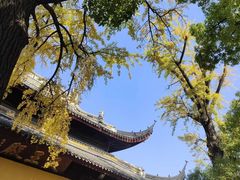 -西园戒幢律寺