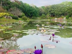 -云溪植物园