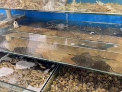 -仙螺岛海鲜自助餐厅(总店)