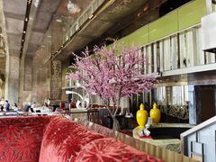-金轩中餐厅 Jin Xuan(浦东丽思卡尔顿酒店)
