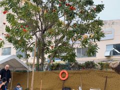 -DGE季风钓虾营地·团建·聚会