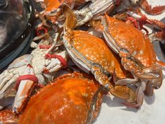 -半岛听涛蒸汽海鲜自助(K11店)