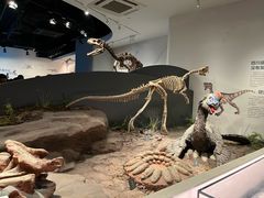 -自贡恐龙博物馆