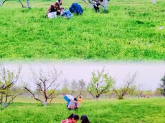 -汉长安城未央宫国家考古遗址公园