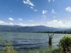 -西昌邛海湿地
