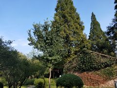 -白马涧龙池景区