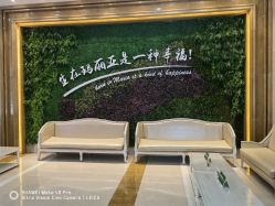 点击看大图 -玛丽亚妇产医院