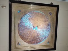 -上海昆虫博物馆