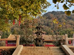 -遵化市禅林寺古银杏风景园