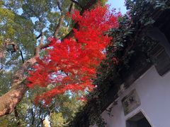 -惠山古镇·寄畅园