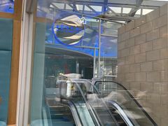 -王家渡火锅店(棕榈泉店)