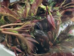 -臭鳜鱼人家·老字号徽菜