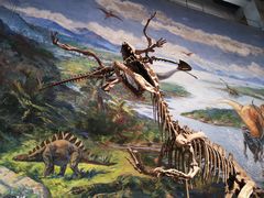 -自贡恐龙博物馆