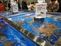-盒马鲜生(财富中心店)