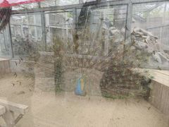 -水绘园