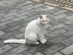 -杏园餐厅(阜成门店)