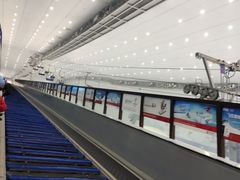 -哈尔滨热雪奇迹