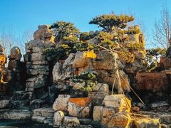 -静之湖度假区