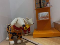 -佐罗家宠物馆·猫文化馆(紫霞路店)