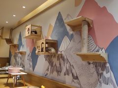 -滚猫咖啡·猫咖·猫友好撸猫(未来城店)
