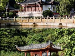 -阳台山森林公园