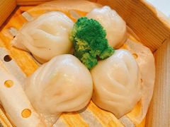 潮上潮虾饺皇-潮上潮(南中环店)