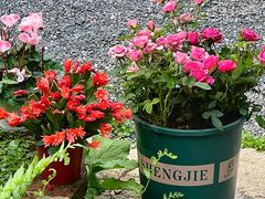 -谷咖啡·鲜花绿植花园餐厅