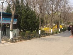 -大兴滨河森林公园