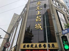 -雷允上(南京西路店)
