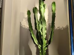 -范儿·嫂子烤肉·精致炭火烤肉(长治路店)