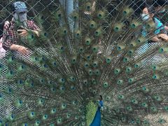 -长白岛森林公园