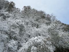 -秦岭终南山世界地质公园翠华山景区