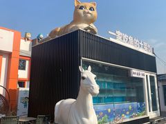 -向外鱼乐·土菜·虹鳟鱼