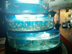 -王家渡火锅店(棕榈泉店)