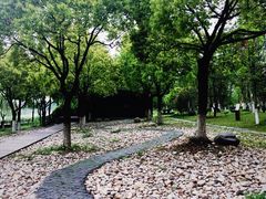 -太湖湖滨国家湿地公园-停车场