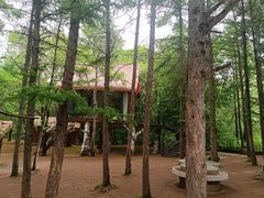 -香炉山国家森林公园