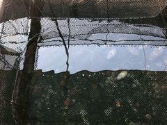 -蓝湾碧波·老字号·疍家非遗海上餐厅