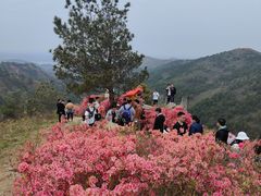 -木兰云雾山