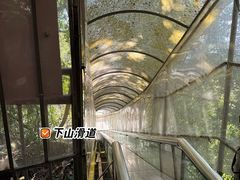 -七仙岭温泉国家森林公园